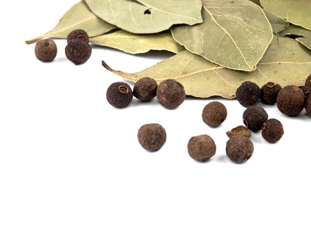 Closeup picture of whole allspice berries and laurel leafs on white backgroundの写真素材
