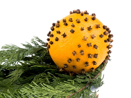 Closeup picture of aromatic christmas orange with fresh thuja branches on white backgroundの写真素材