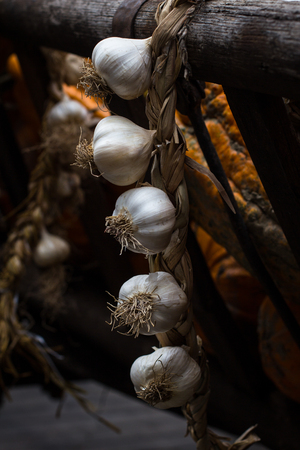 Festoon of five cloves of garlicの写真素材