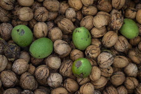 Dry and fresh walnuts in basketの写真素材