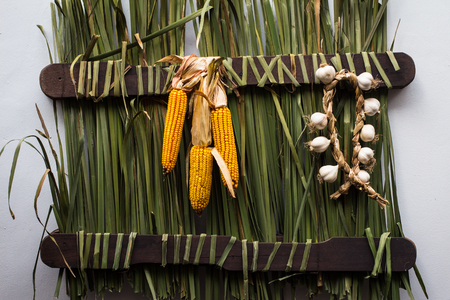 Garlic cloves and corn cobs in a nice rustic arrangementの写真素材