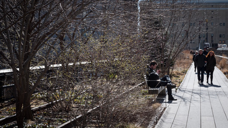 New York, USA - March 2nd, 2017: People take a stroll on the High Line, in New York, USA.のeditorial素材
