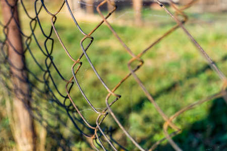 Iron mesh fence netting. Fence for the garden
