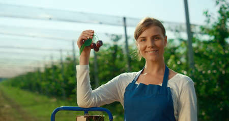 Young farmer woman holding berry at business sunny plantation in harvest season. Attractive...