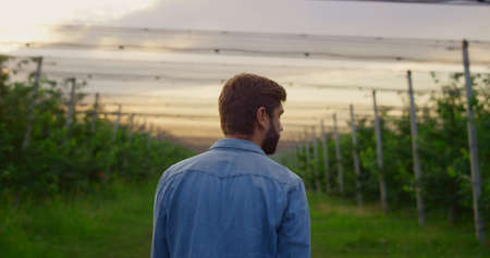 Young farmer man walking in ecological farmland. Unknown agribusiness owner look check greenhouse in...