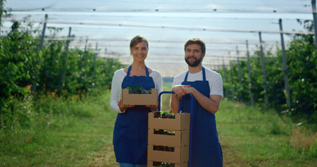 Beautiful couple looking camera in summer season with fresh fruit box at farm. Summer agriculture...