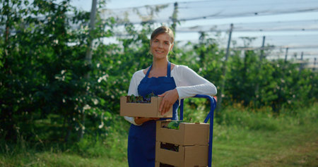 Beautiful female farmer looking camera near fresh fruit box at agrarian orchard. Female entrepreneur holding cherry box at outdoors modern green house. Garden plantation business farm concept.の写真素材