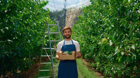 Farmer presenting harvested cherry berry in basket. Young farm worker showing fruit box in orchard. Agronomist man farming ecological crop in greenhouse. Agribusiness healthy food production concept.の写真素材