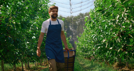 Farm worker transporting boxes with harvest in sunny impressive garden smiling. Handsome joyful gardener moving fruits crates on farmland plantation. Countryside job agro business cultivation conceptの写真素材