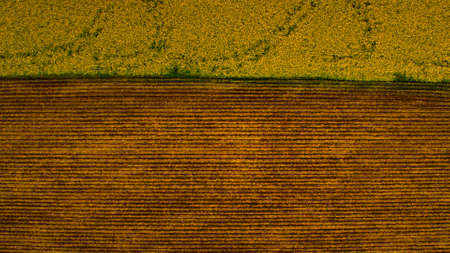 Top view countryside landscape with contrast color. Aerial view brown field and yellow field....