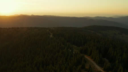 Aerial mountain sunrise view against golden morning sky green trees road scene. Charming tranquil...