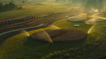 View of irrigation system in blooming flower park early morning. Watering of plants in blossomed spring garden. Scenic view of sprinkling system in soft evening lights. Automatic watering of lawnの写真素材