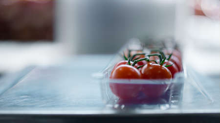 Cherry tomatoes packs factory manufacturing fresh organic food plastic packing. Close up red natural...