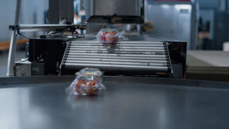 Tomato plastic packs moving at technological conveyor belt machine close up. Modern manufacture...