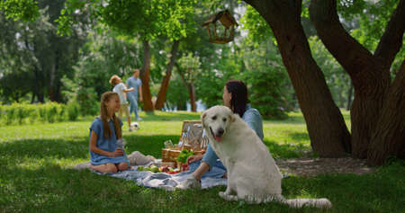 Happy golden retriever sitting near resting family under tree. Cheerful mother caressing dog with daughter on blanket. Father play soccer with son afar on green grass. Active summer picnic in park.の写真素材