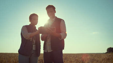 Two farmers work tablet computer in golden sunlight. Modern agritech industry. Focused woman...