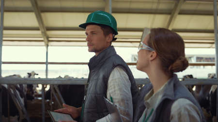 Livestock owners walking shed together closeup. Happy managers have conversation. Joyful agribusiness supervisors inspecting animal husbandry holding tablet clipboard. Cattle breeding professionals.の写真素材