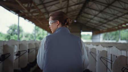 Farming manager walking shed rear view. Cattle breeder inspecting newborns. Focused woman livestock worker going inspecting feedlots at animal husbandry facility. Agricultural specialist concept.の写真素材