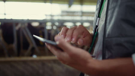Closeup farmer hands using tablet computer in modern dairy farm facility cowshed. Unrecognized man...