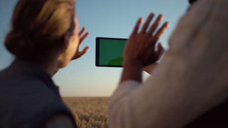 Couple holding chroma key pad computer at cultivated grain harvest sunlight. Unknown man woman waving on online video conference at wheat field. Farmers using tablet device communicate with partners.の写真素材