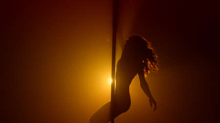 Flexible woman silhouette practicing poledance in nightclub spotlight. Sexual lady turning round...