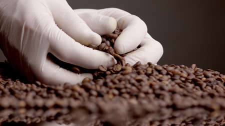 Hands taking roasted coffee beans in white gloves close up. Unknown person fingers touching fresh...