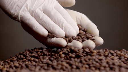 Closeup roasted coffee grains in hand. Unknown agriculturist checking aromatic harvest quality on...