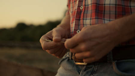 Man hands with wheat spikelets at golden sunset. Unknown man farmer hold ripe wheat spikes in...