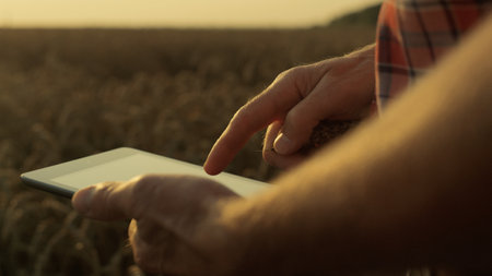 Closeup hands holding tablet in sunlight. Farmer examine wheat spikelets quality on harvesting field. Unknown businessman agronomist touching digital pad screen. Agrarian engineer checking cereal cropの写真素材