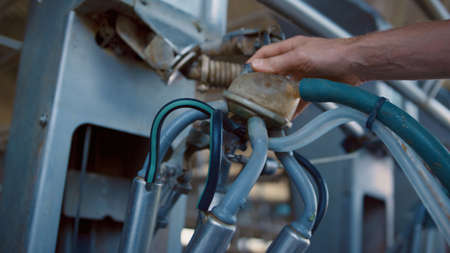 Farmworker hand holding milking system check setup process in robotic automated farm closeup. Unknown farmer preparing working smart milk production on modern cowshed. Agro farming equipment conceptの写真素材