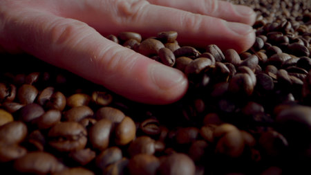 Man hand running over fresh roasted coffee grains close up. Macro view fingers touching aromatic brown seeds. Unknown agrarian checking quality coffee harvest indoors. Perfect coffee crop concept.の写真素材