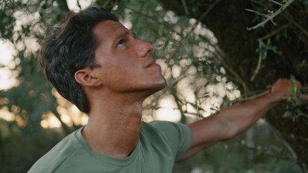 Portrait farmer examining olive tree at sunset outdoors. Serious man holding branch observing plants at nature closeup. Thoughtful worker planning harvesting season at countryside. Oil productionの写真素材