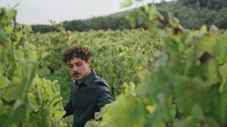 Young focused man looking vine bush examining vineyard at harvesting close up. Italian mustached winegrower checking yellow grapevine leaves on grape plantation. Wine growing winemaking concept.の写真素材
