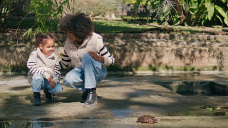 Woman girl watching at reptile relaxing in sunny green park. Happy african american mother cuddling daughter looking on small turtle moving ground. Carefree family enjoying wildlife on nature walk.の写真素材