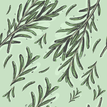 Rosemary pattern vectorのイラスト素材
