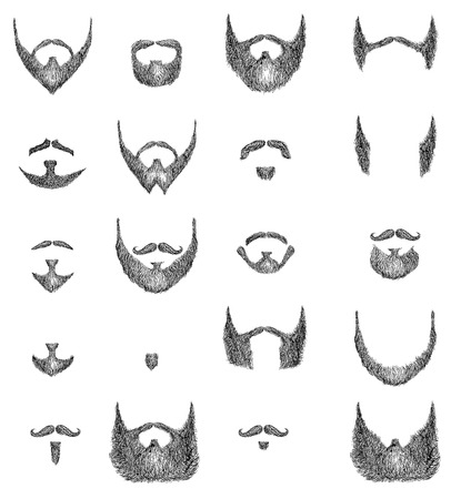 Barber's guide for beard styles vectorのイラスト素材