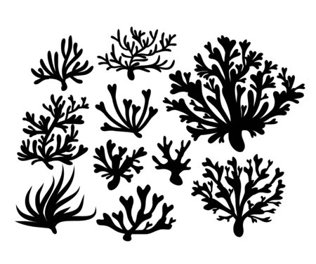 Coral vector set illustration, icon setのイラスト素材