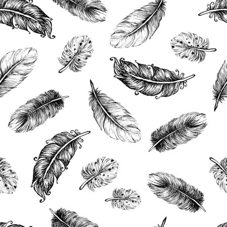 Beautiful seamless hand drawn feather patternの写真素材