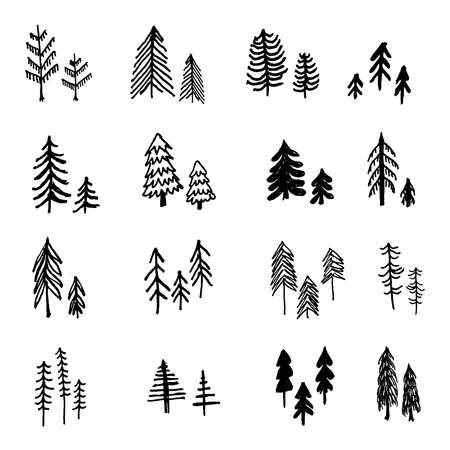Beautiful set of hand drawn pine trees vector collectionのイラスト素材