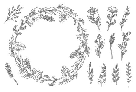 Rustic, delicate round frame vector made of beautiful branches, botanical wreathのイラスト素材