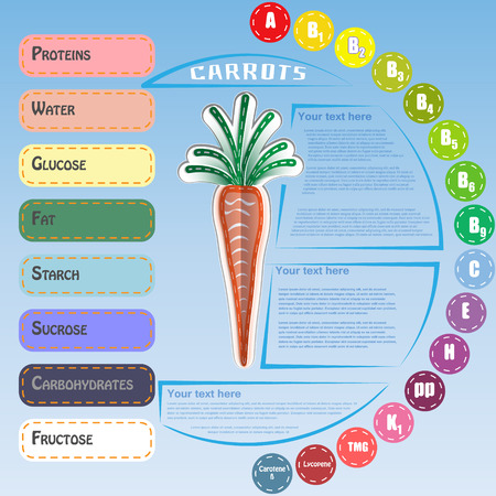 infographic for content of vitamins and minerals in carrot. のイラスト素材