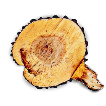 Tree stump, life ring, can be used to design, insignia, signs and other products, halftone effectのイラスト素材