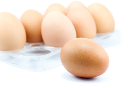 Eggs in panel isolated on white 