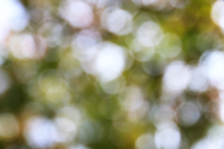 defocused light dot in summer の写真素材
