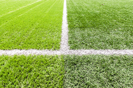 socker field and white strip lineの写真素材