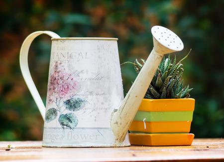 old watering can on tableの写真素材