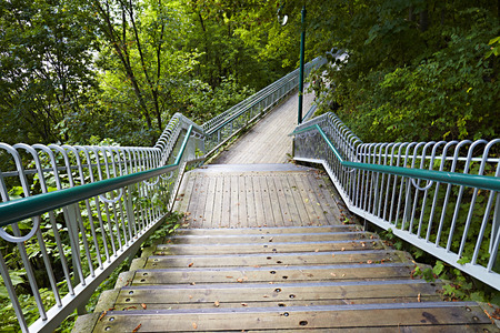 Stair into the forestの写真素材