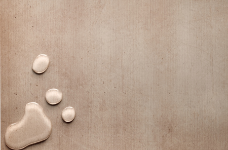 splash drops on carton piece of paperの写真素材