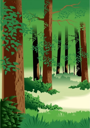 Covertのイラスト素材