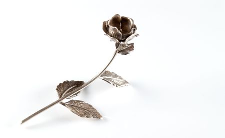 silver rose over a white backgroundの写真素材